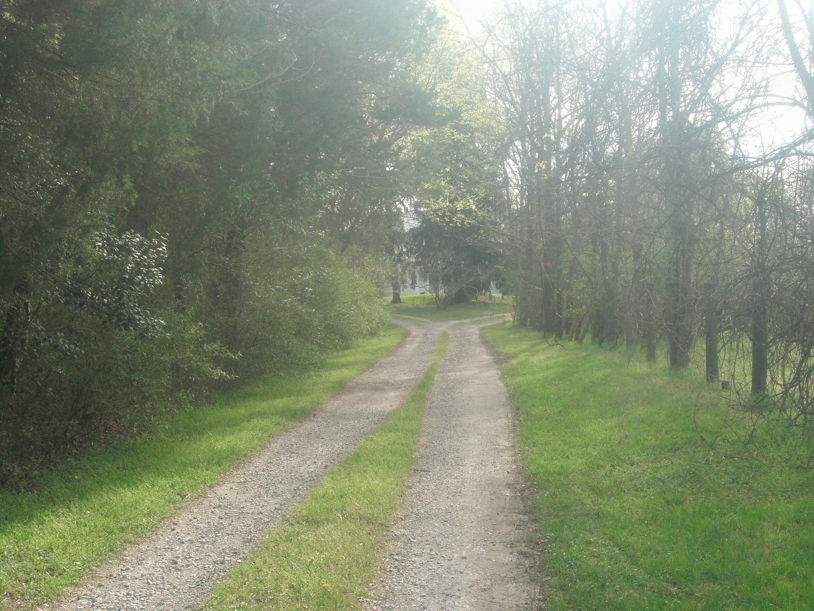Oak Hill, Cumberland State Forest, Cumberland County, Virginia - road to property, house in trees in distance